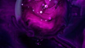 visuel écosytème lms violet