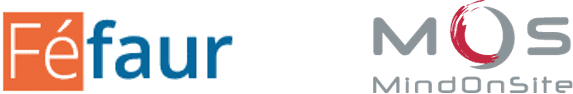 Fefaur_MOS